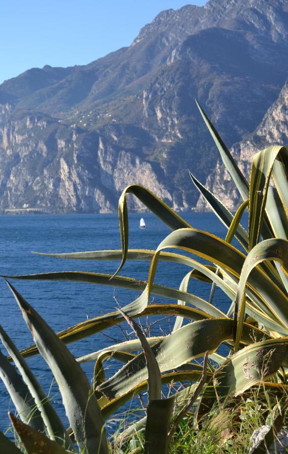 My Suite Home - Riva Del Garda Ngoại thất bức ảnh